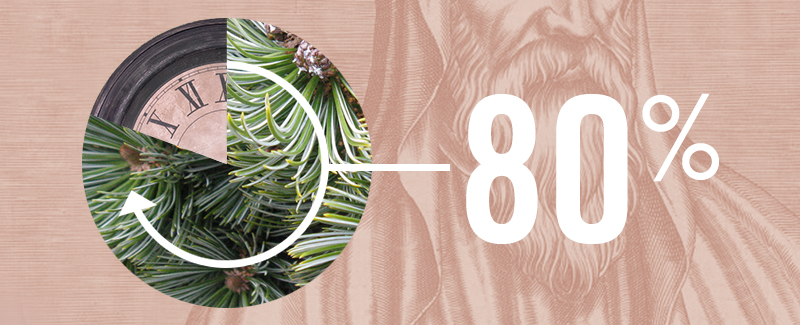 80%-Rule-For-Evergreen-Content